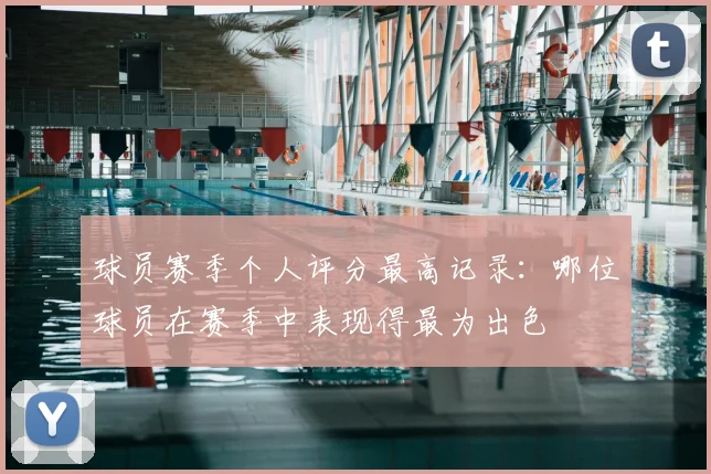 球员赛季个人评分最高记录：哪位球员在赛季中表现得最为出色