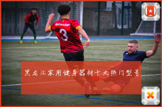 黑龙江家用健身器材十大热门型号