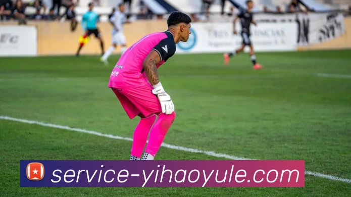 多媒体互动体验